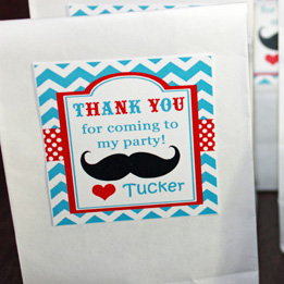 Little Man Mustache Bash