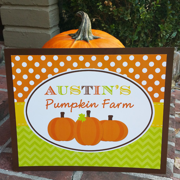 Pumpkin Patch - My Little Pumpkin Collection