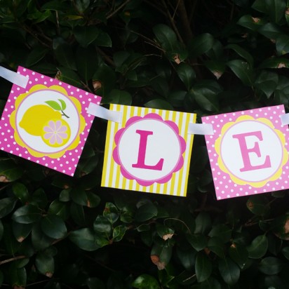Pink Lemonade "Happy Birthday" Banner 