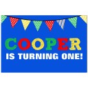 Birthday Personalized Poster or Backdrop - Primary Color Fun