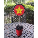 Hollywood Movie Red Carpet Party Centerpiece Topper