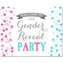 Gender Reveal Party Welcome Sign
