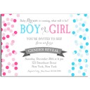 Gender Reveal Boy or Girl Party Invitation 