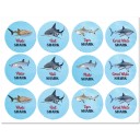 Shark Party Cupcake Toppers - Shark Reef