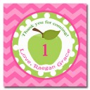 Green Apple Pink Chevron Party Favor Tags 