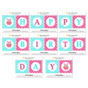 Owl Happy Birthday Banner - Pink Lil' Owl Collection