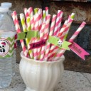 Panda Party Straw Flags- Bamboo Love