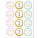 Twinkle Twinkle Little Star Party Cupcake Toppers