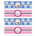  Pirate and Princess Sibling Birthday Personalized Water Bottle Labels