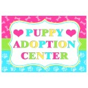 Pet Adoption Poster for Cat and Dog Party