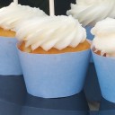 Shark Party Cupcake Wrappers
