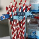 Shark Party Straw Flags