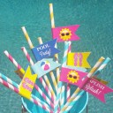 Splash Pool Party Straw Flags