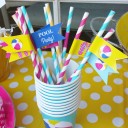 Splash Pool Party Straw Flags