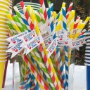 Country Fair Party Straw Flags - Country at Heart Collection