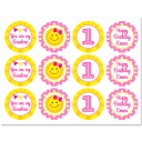 Sunshine Birthday Party Cupcake Toppers 