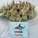 Shark Party Tent Style Food and Drink Labels