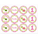 Girl Turtle Cupcake Toppers